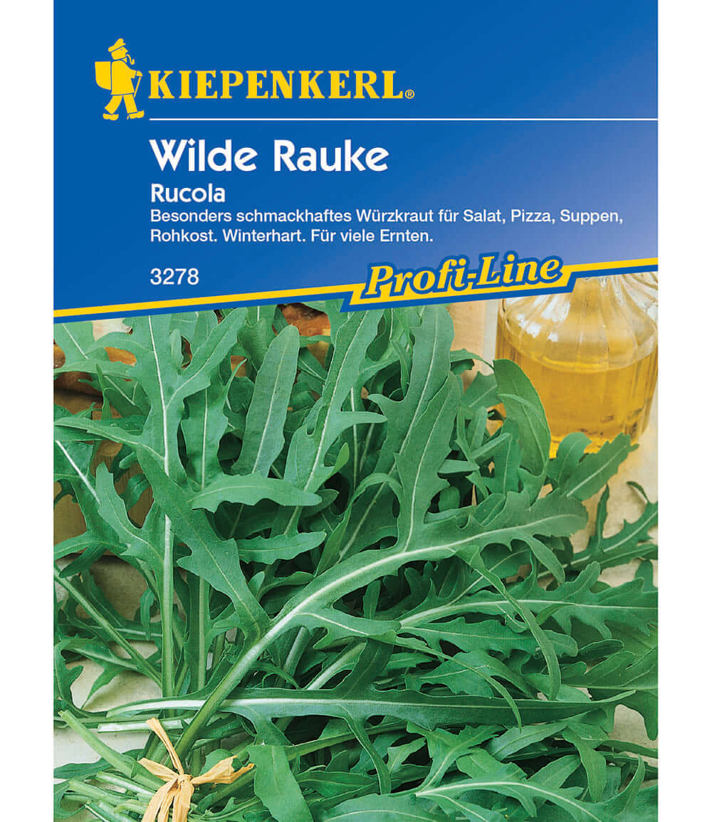 Rucola 'Wilde Rauke'