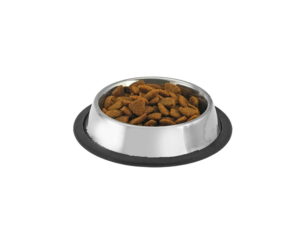 Gamelle chien chat inox 100 gr ø 15 cm • pour l'eau ou les croquettes