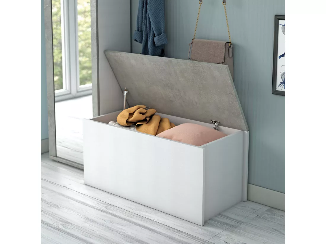 Malle Ditalen, Grande boîte de rangement polyvalente, Coffre moderne, 100% Made in Italy, 90x45h45 cm, Blanc et Ciment