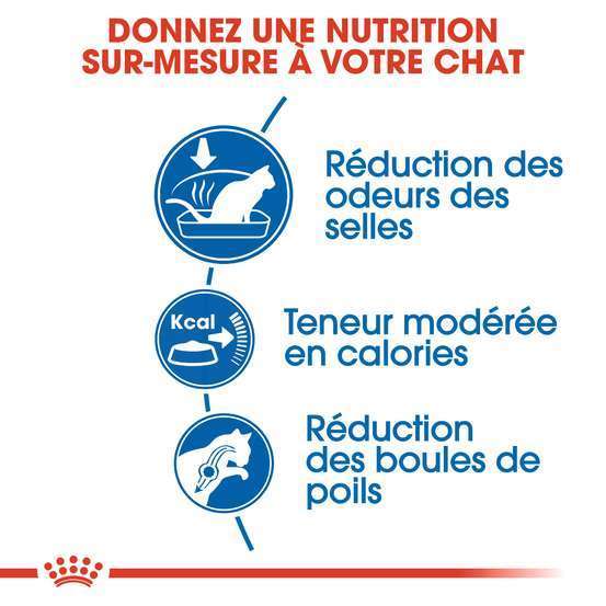Croquettes chat d'intérieur Indoor de 1 à 7 ans 4kg