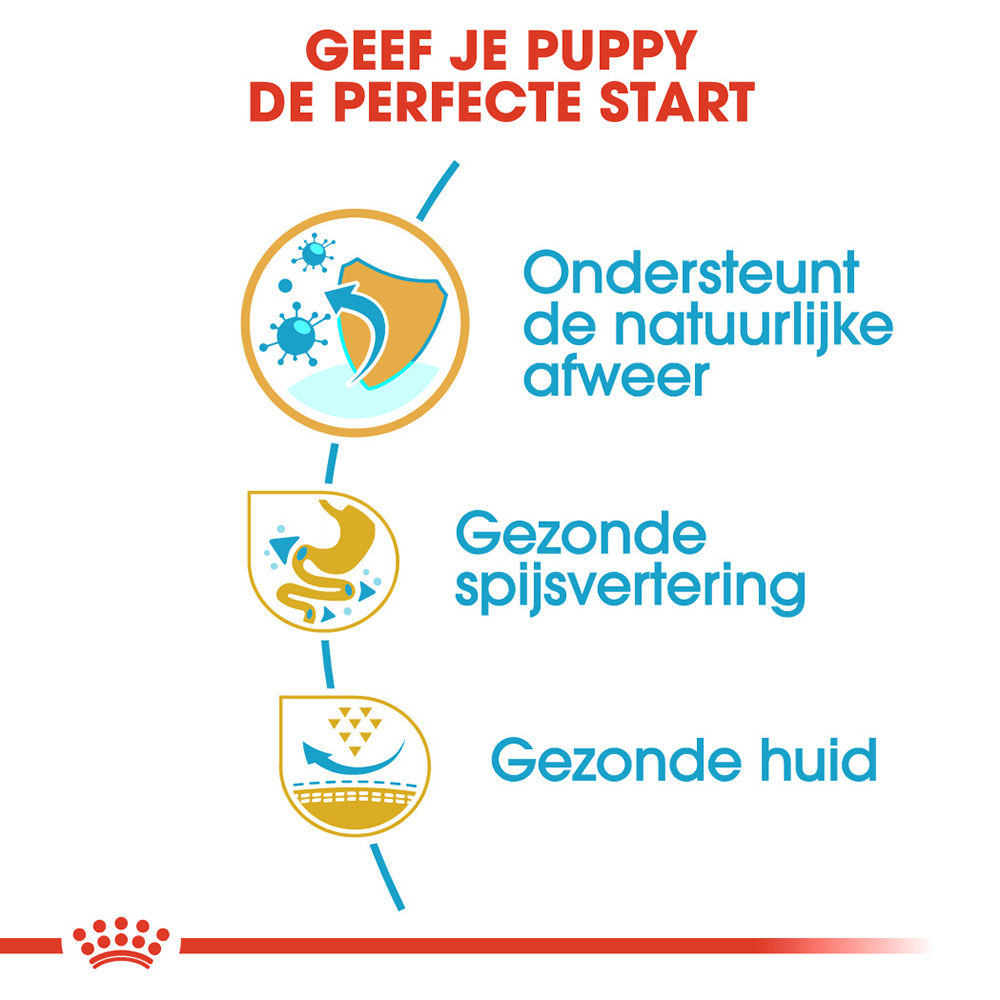 Royal Canin French Bulldog Puppy - Hondenvoer