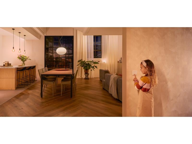 Philips Hue Zubehör Wandschalter Modul Doppelpack Wandschalter Modul für Hue Lichtsysteme