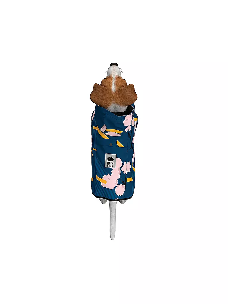 RAINKISS Hunde Regenponcho blau