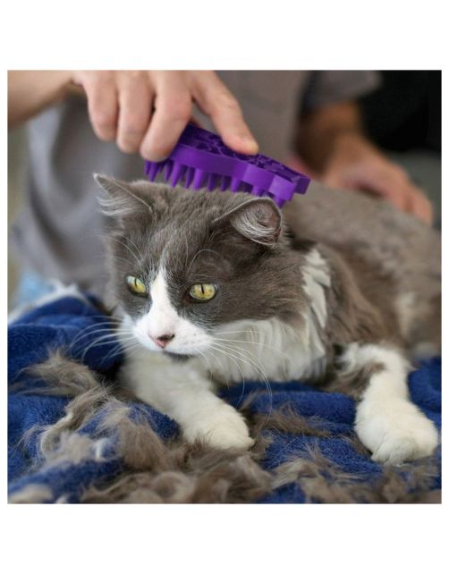 Kong Rubber Borstel Zoomgroom - Kattenvachtborstel - Paars per stuk