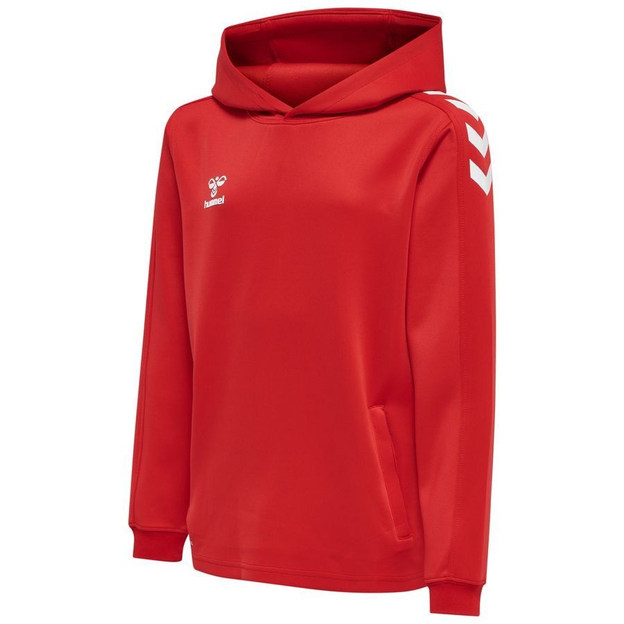 Sweat à capuche