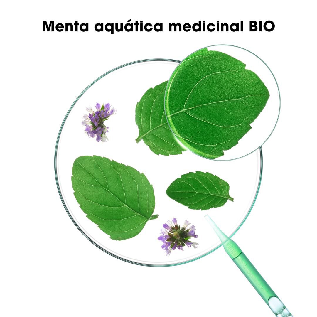 KLORANE  Champô Menta - 400ml
