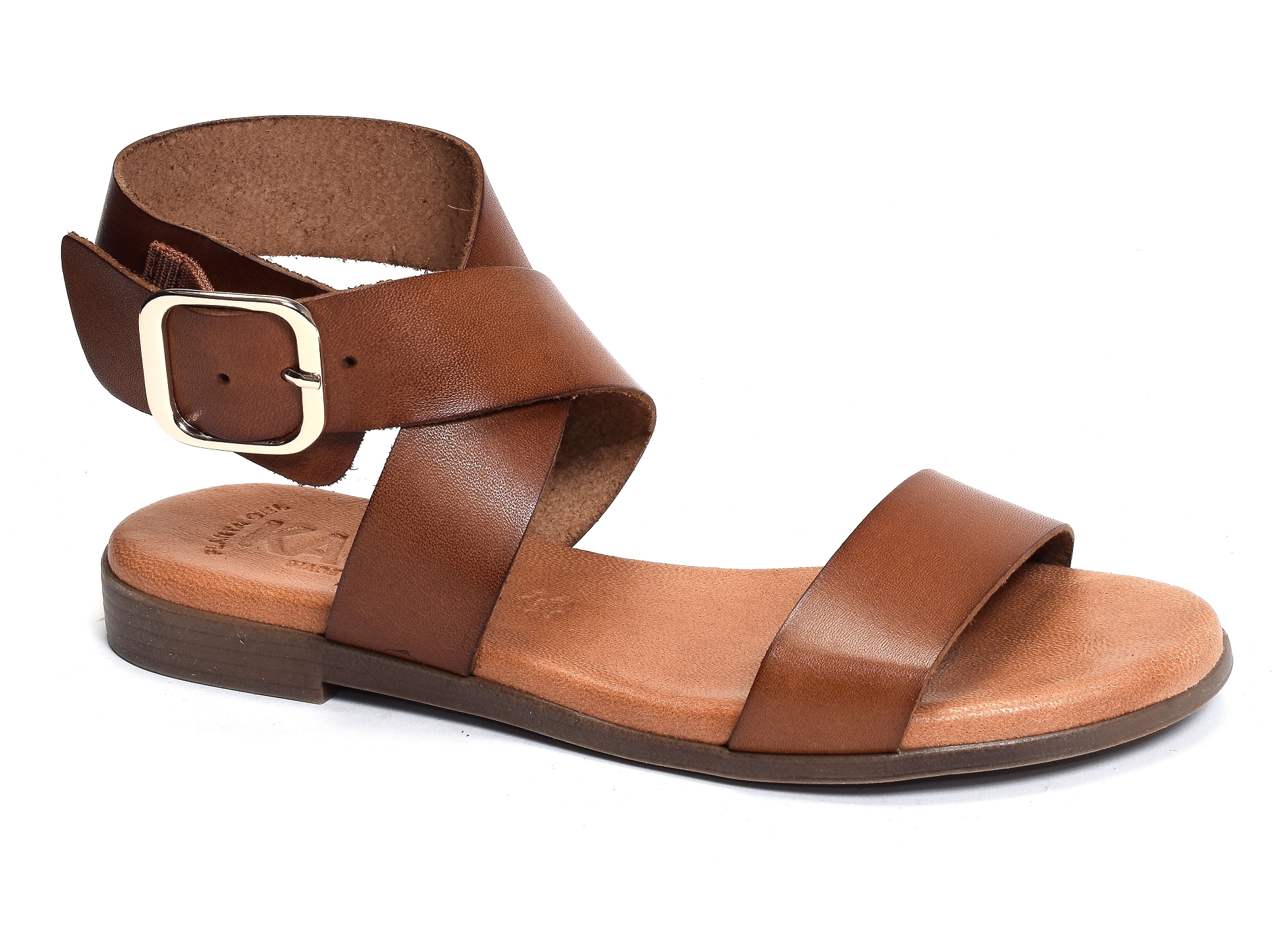 1359 camel
