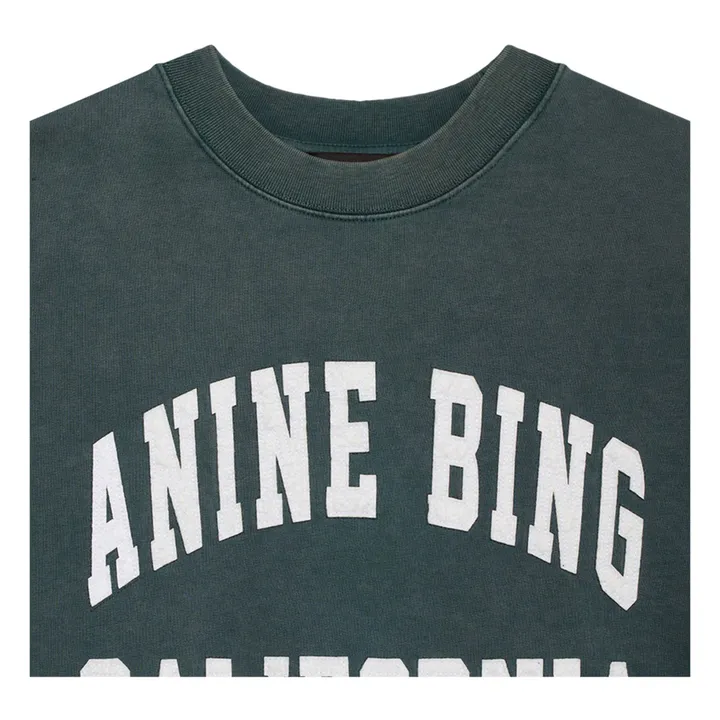 Anine Bing Sweat Miles Coton Bio | Vert