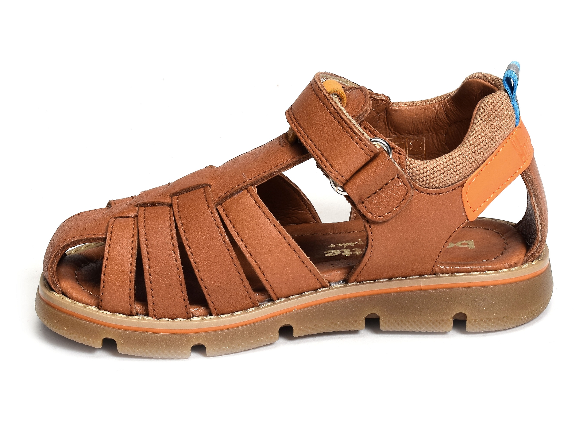 Kiko camel