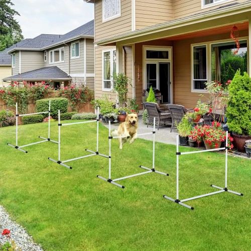 Conjunto de Treinamento de Agilidade para Cães PawHut