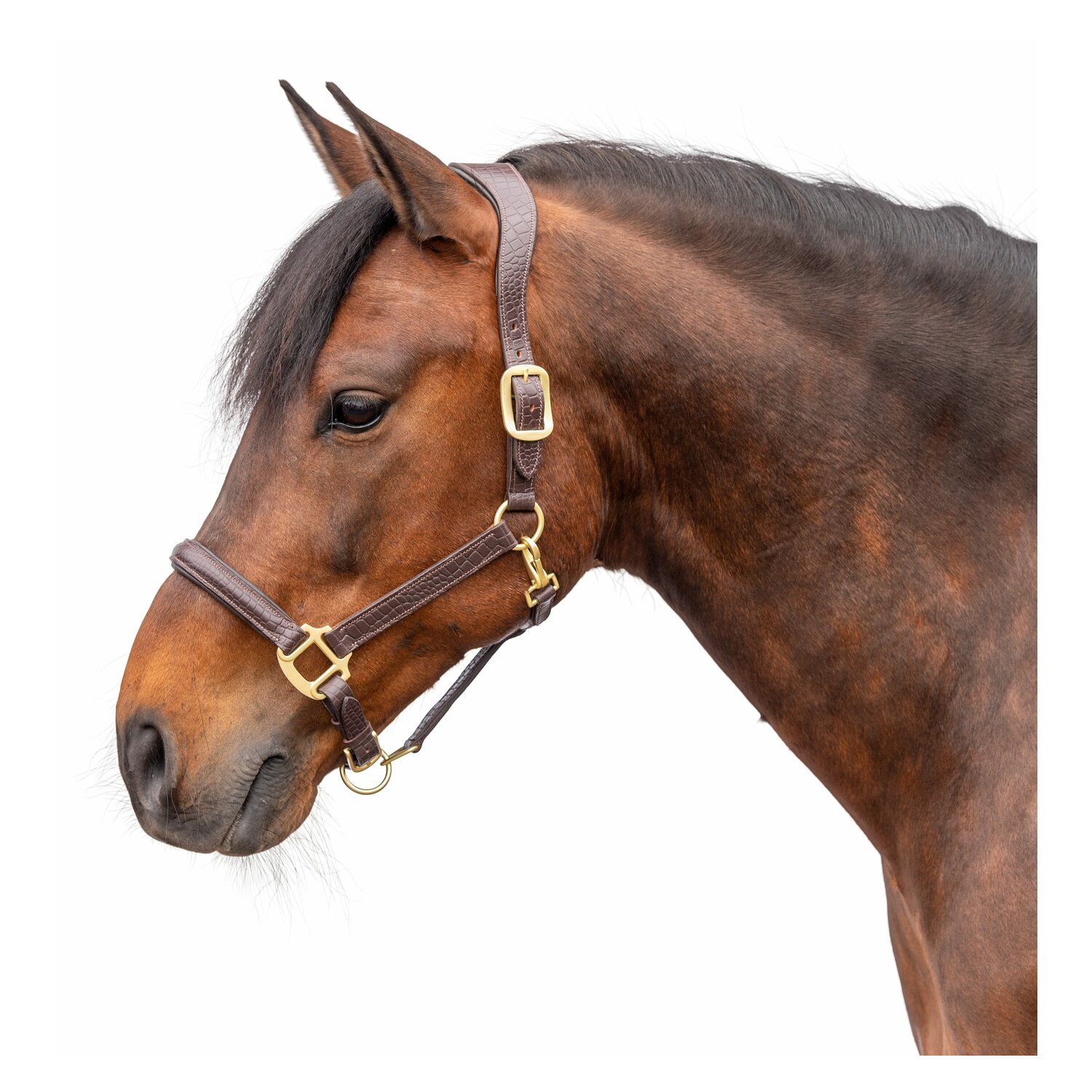 Cheval de Luxe Lederhalfter Limoges  - brown