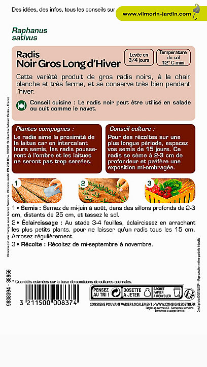 Graines de Radis Noir Gros Long d'Hiver Vilmorin