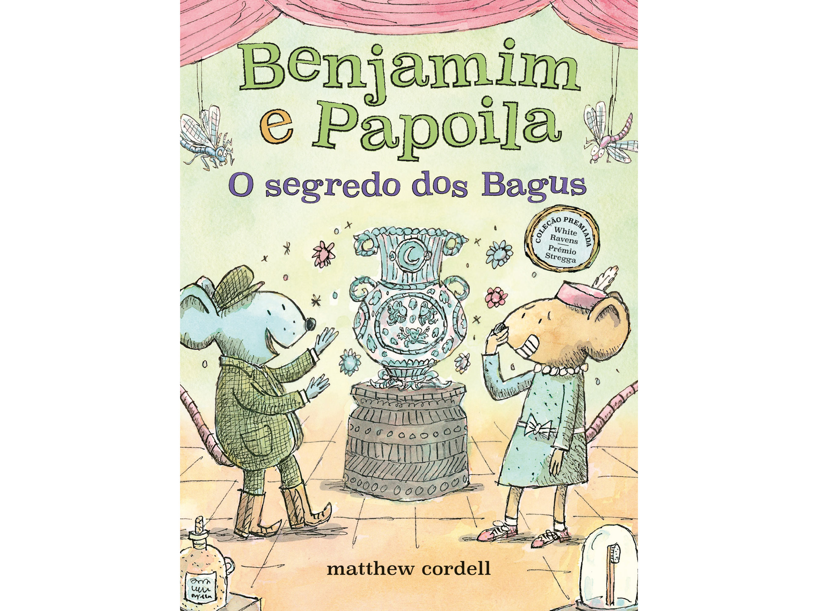 LIVRO BENJAMIM E PAPOILA 4 - O SEGREDO DOS BAGUS