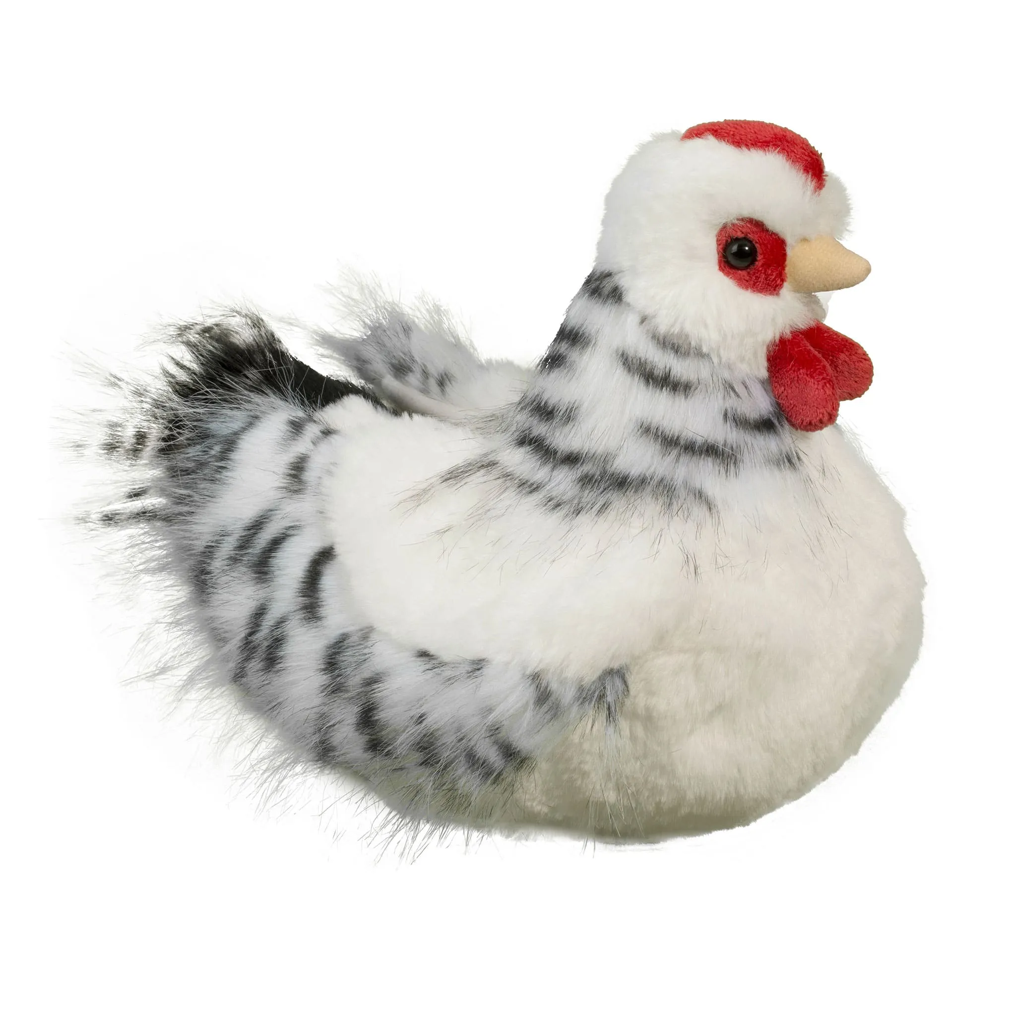 Douglas Poule Blanche Salty