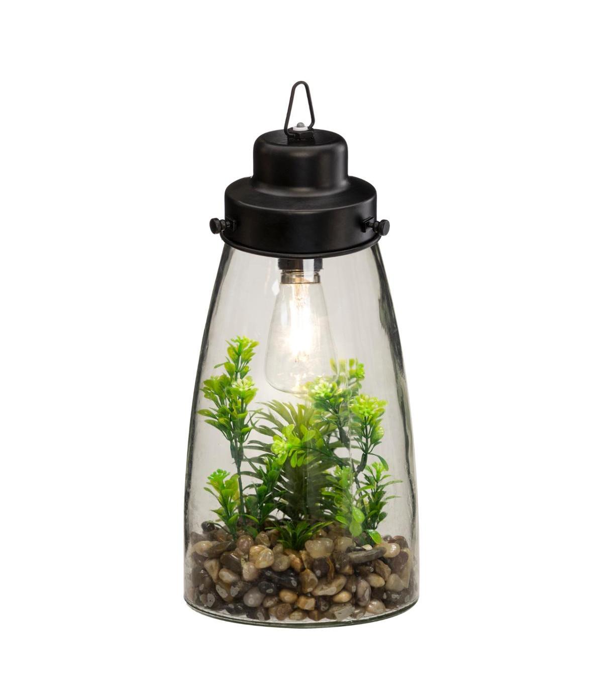 TERRARIUM AMPOULE PLANTE H.31CM
