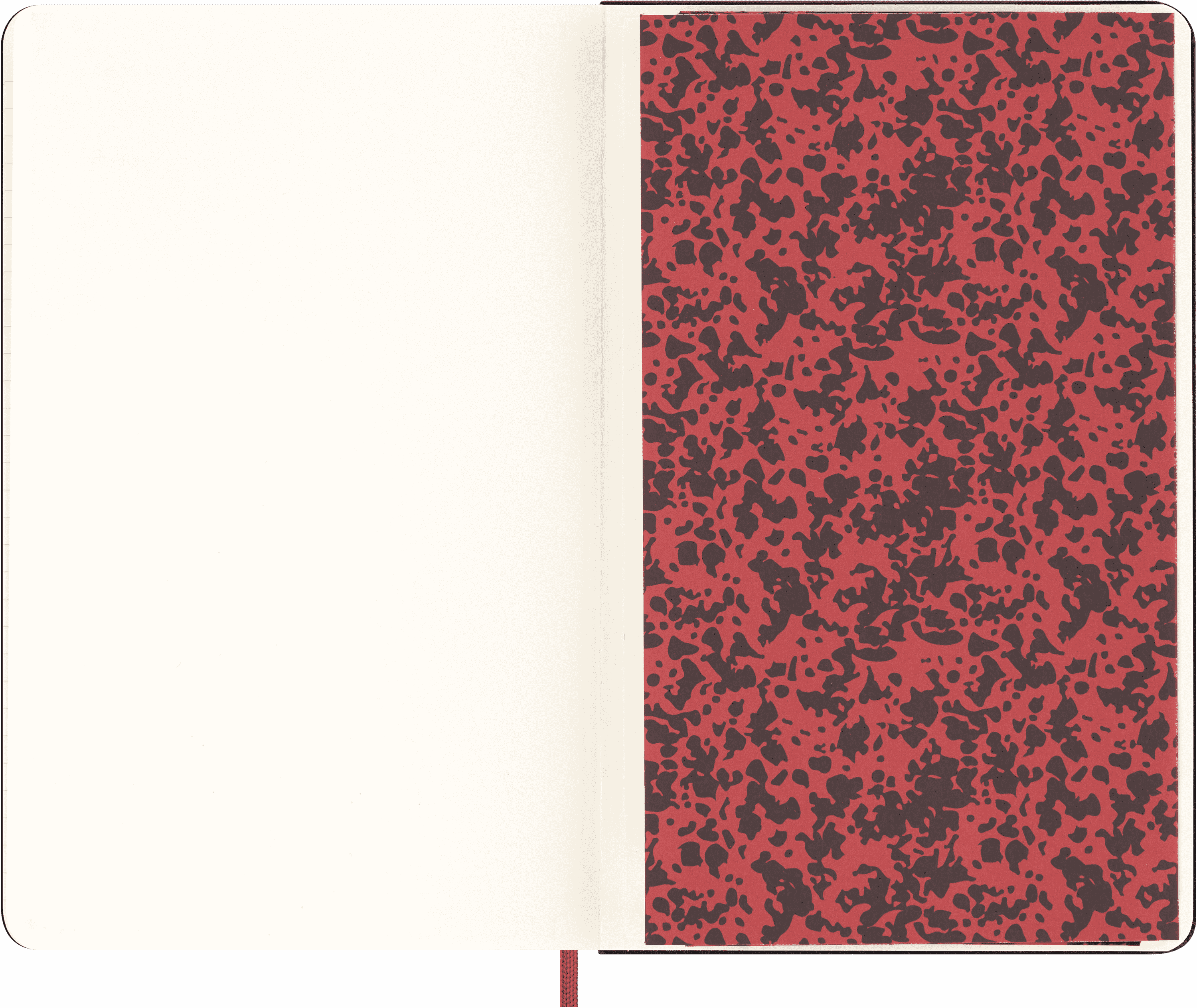 IZIPIZI x Moleskine Large Ruled Notebook and Reading Glasses