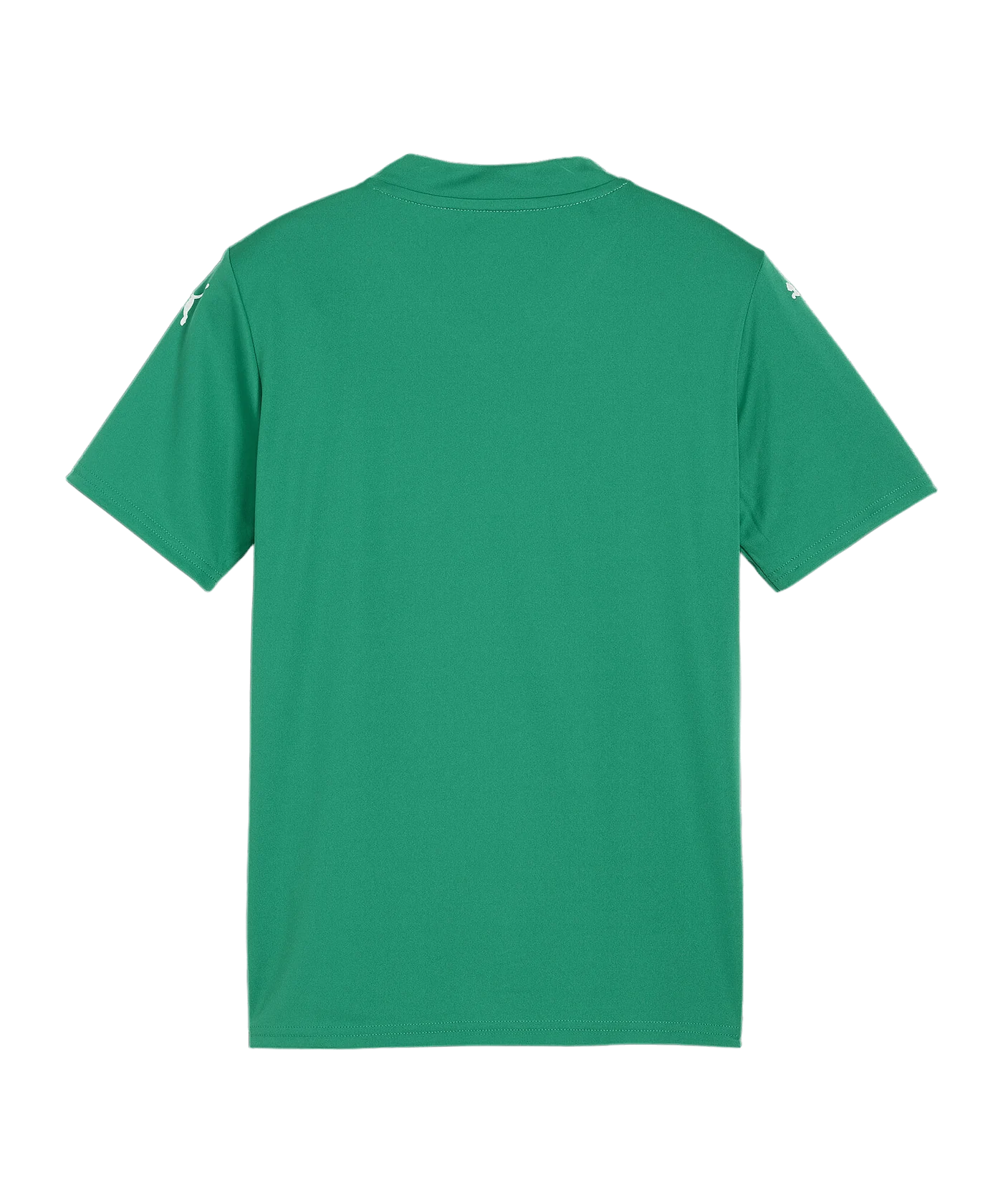 PUMA teamGLORY Trikot Kids Grün Weiss Grün F05