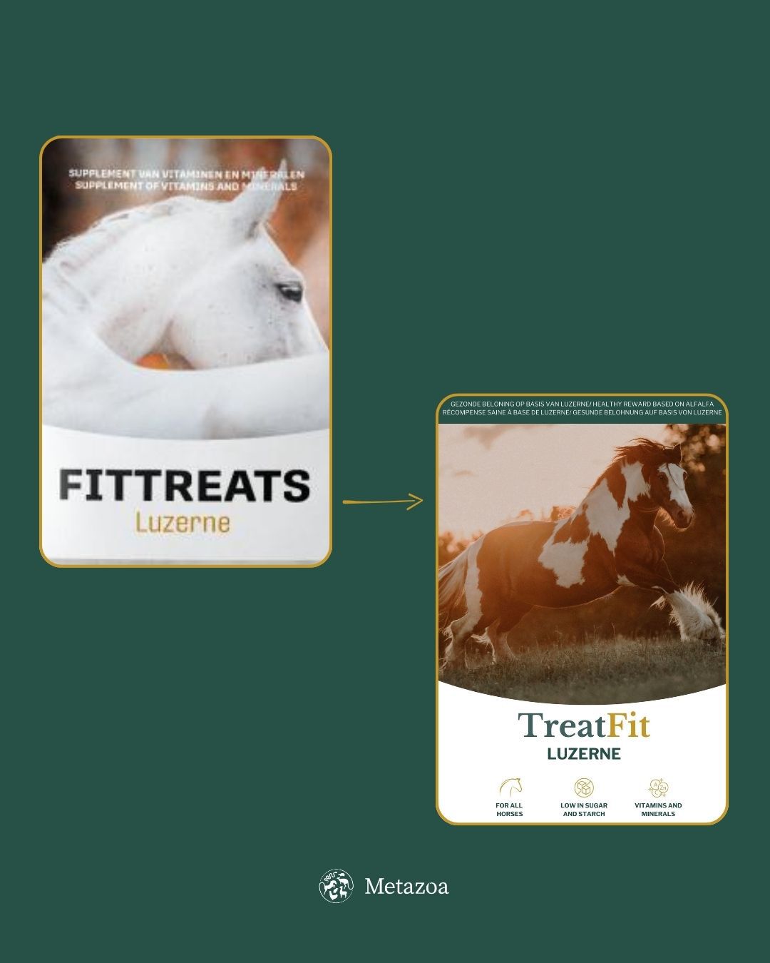 Metazoa Fittreats Luzerne - Gezonde Paardensnoepjes - 4 Kilogram - Luzerne