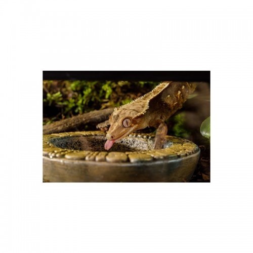 Alimentador Exo Terra Aztec