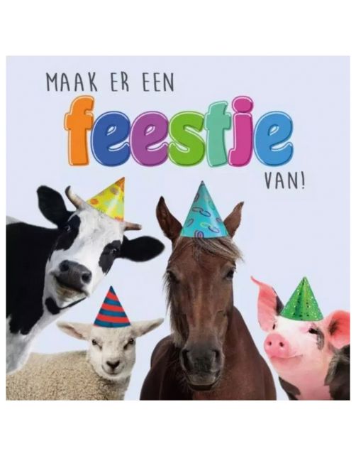 Plenty Gifts Kaart Feestje - Cadeau - 13.7x13.7 cm
