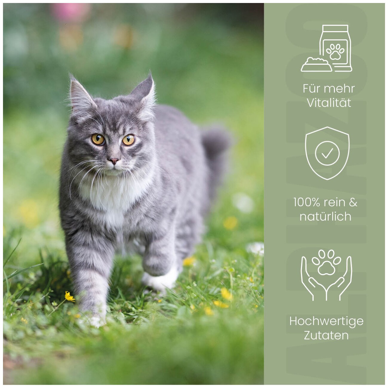 ALPHAZOO Alpha-Immun Futteröl für Katzen