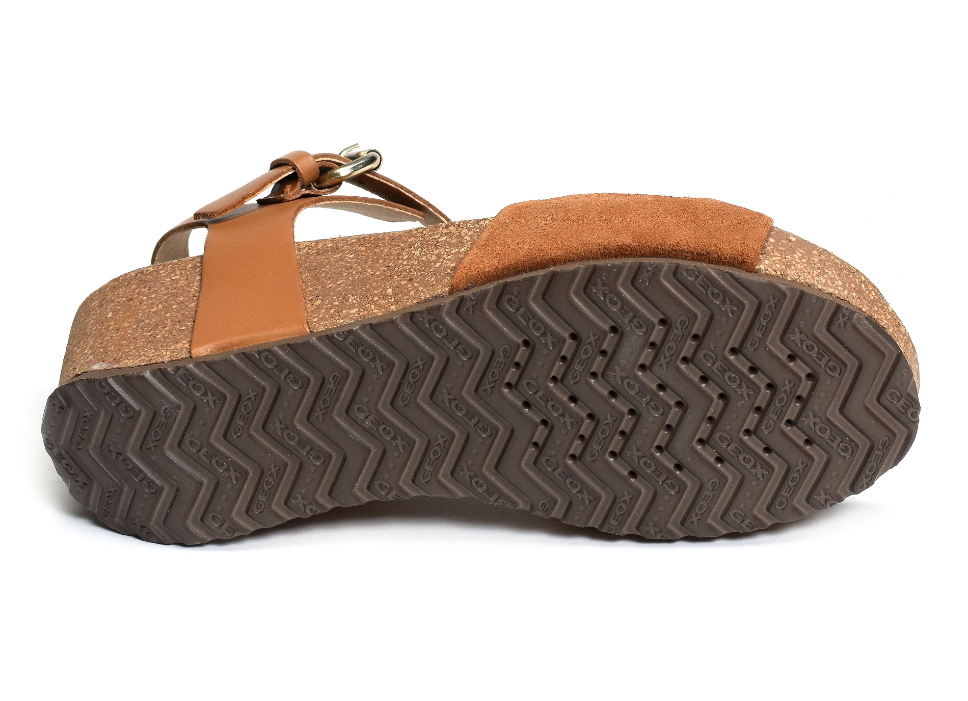 D diantha c camel