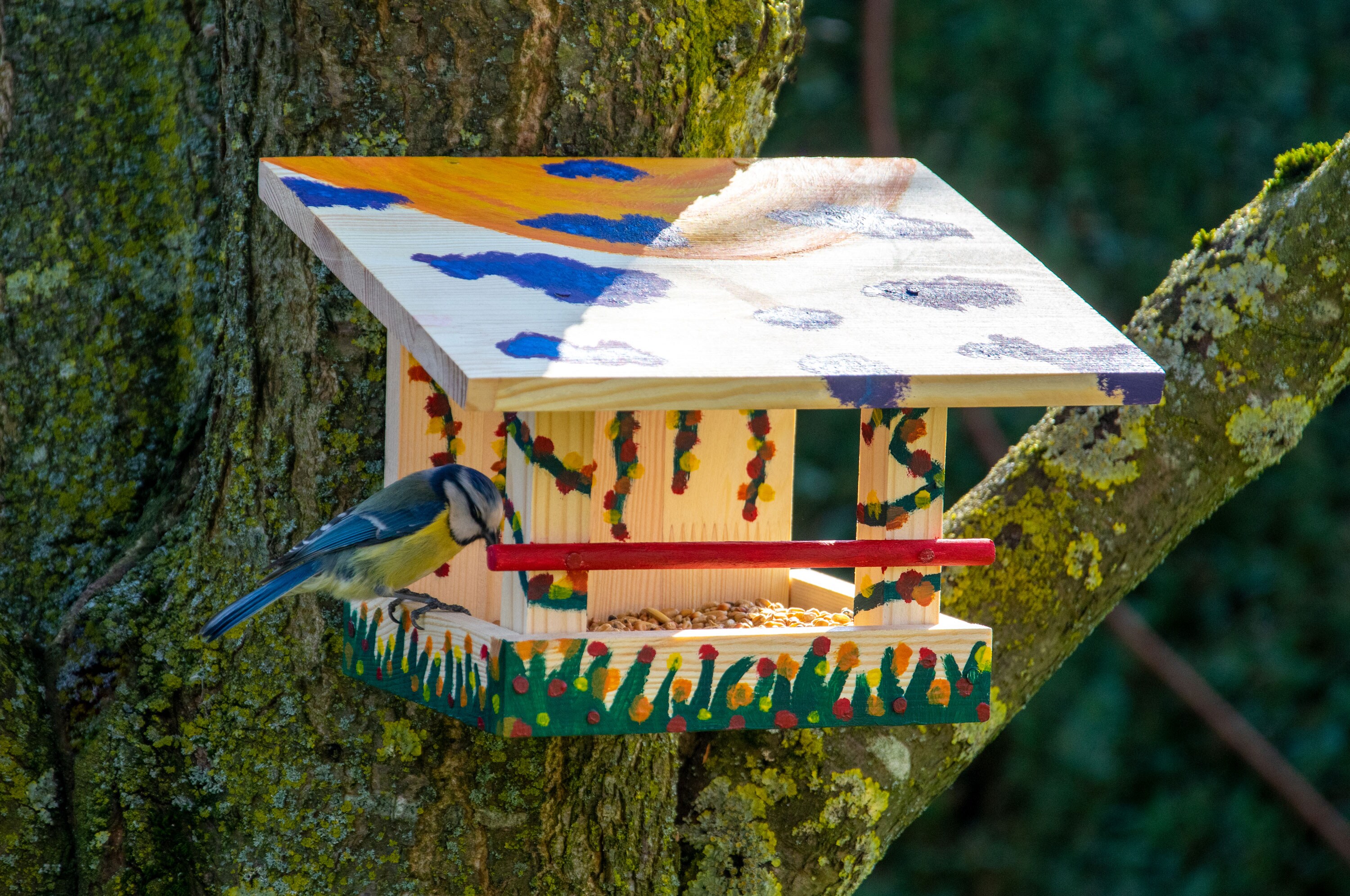 dobar Vogelhaus - Bausatz - versch. Ausführungen