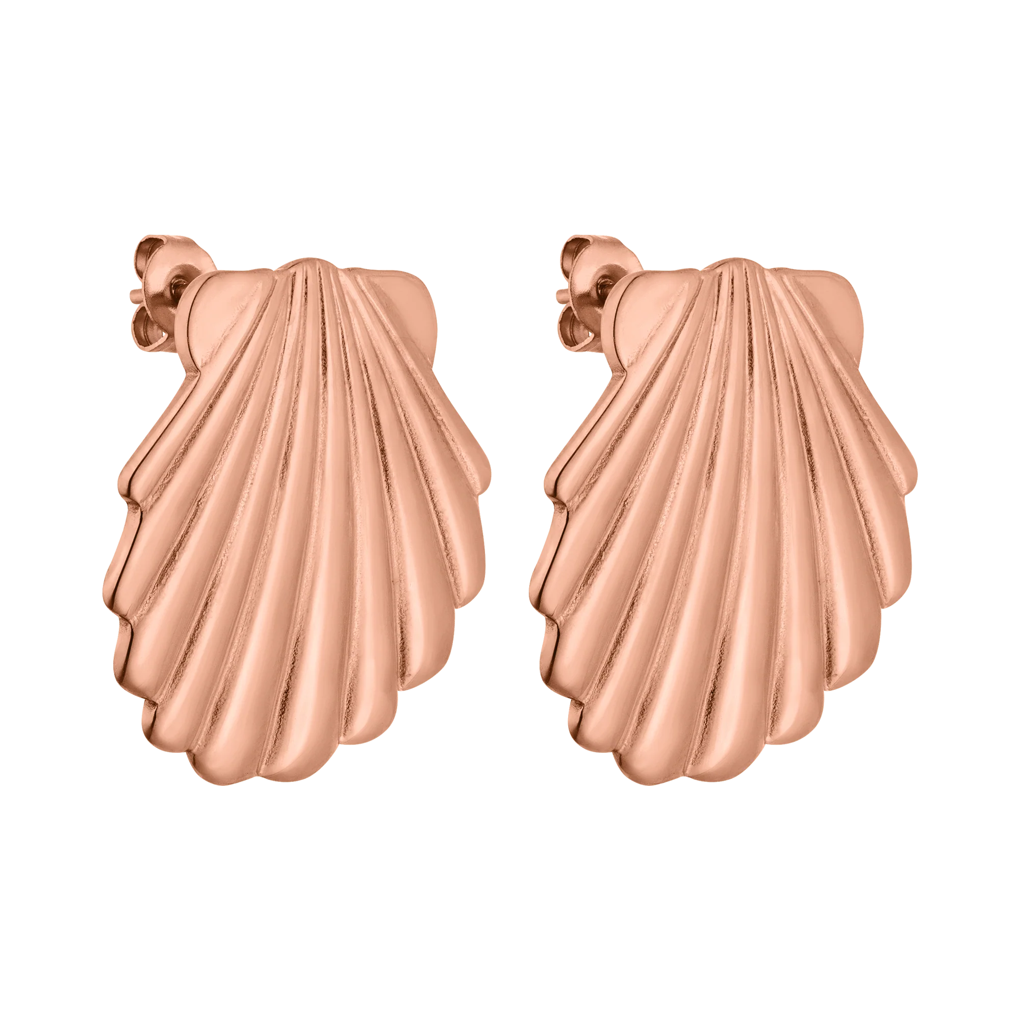 Shell Ohrringe - PURELEI