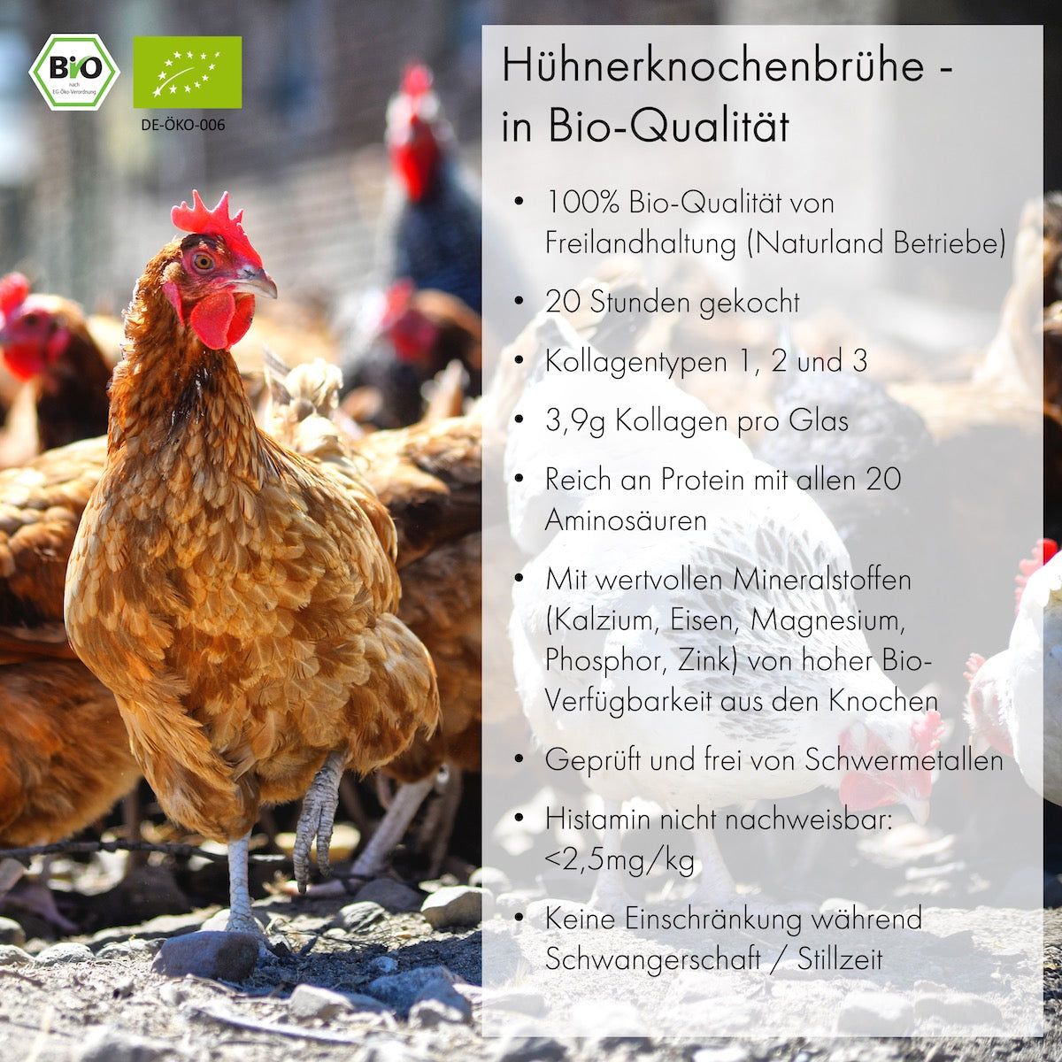 JARMINO Bio Hühnerknochenbrühe