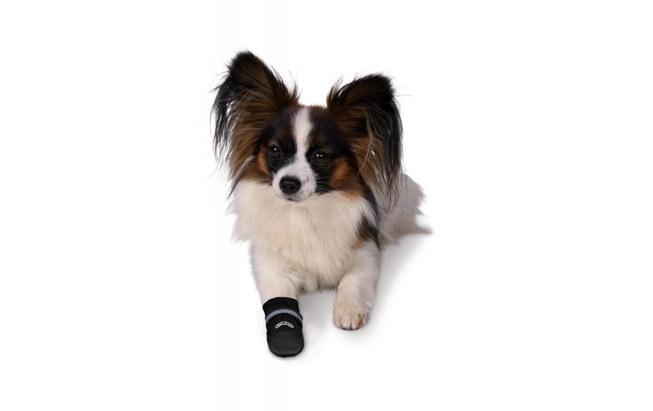 Pfotenschutz Walker Care Comfort SPfotenschutz für Hunde