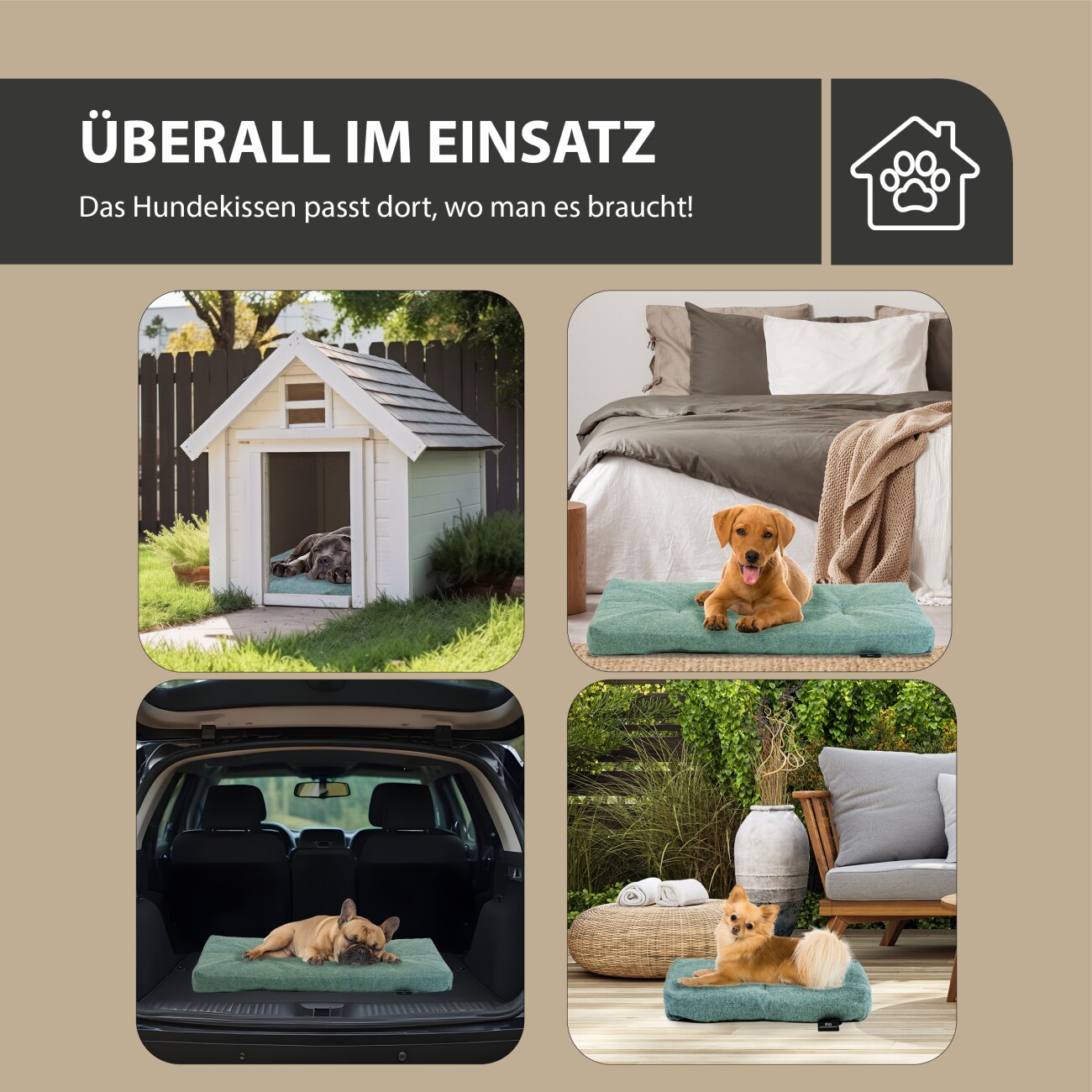Rohrschneider ® Hundebett mit Anti-Rutsch-Boden, strapazierfähiges Kissen für Hunde und Katzen, B47 x T30 x H7 cm, inkl. Gratis-Wassernapf