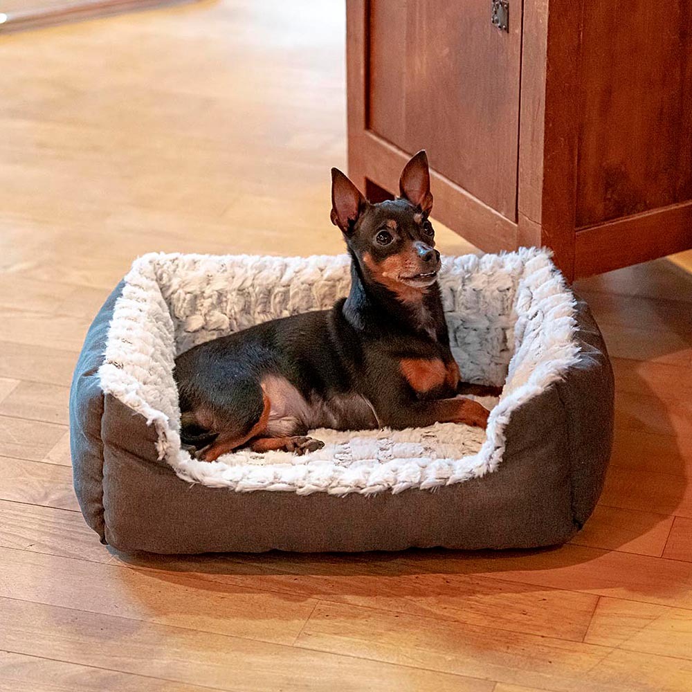 Ferplast panier chien coussin chien petite taille panier chat coussin chat doux et confortable 91 x 72 x h 19 cm. Gris