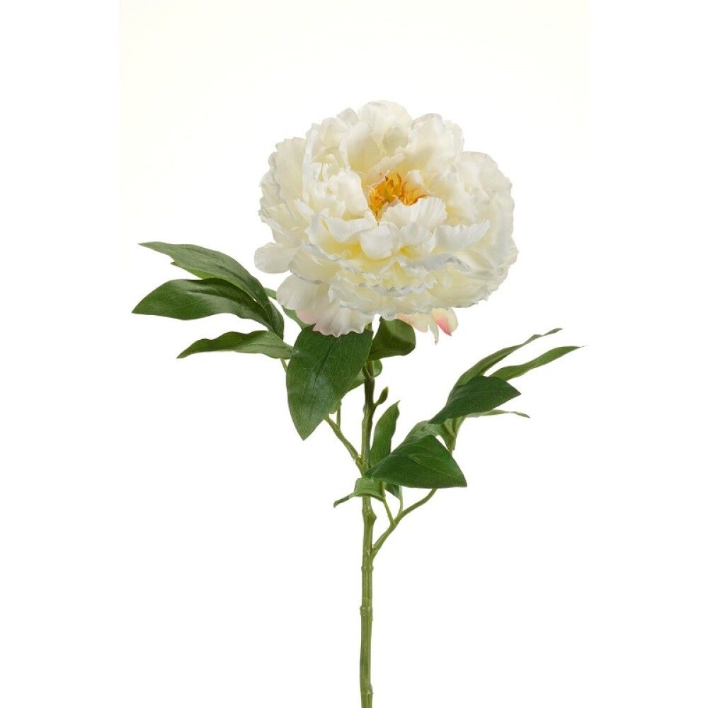 KUNSTIG PLANTE EMERALD PION SNITT CREME 65CM