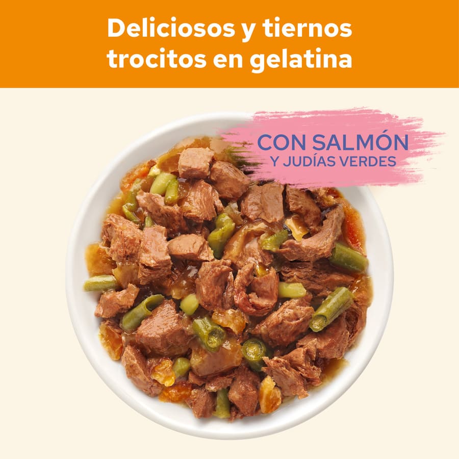 Salmão Cat Chow em Gelatina