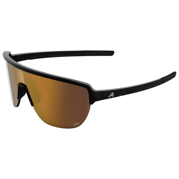 Alpina - Ram 2.0 Q-Lite Mirror S3 - Lunettes de soleil