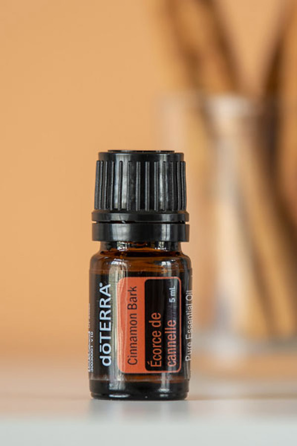 Huile d'écorce de cannelle  Cinnamomum zeylanicum