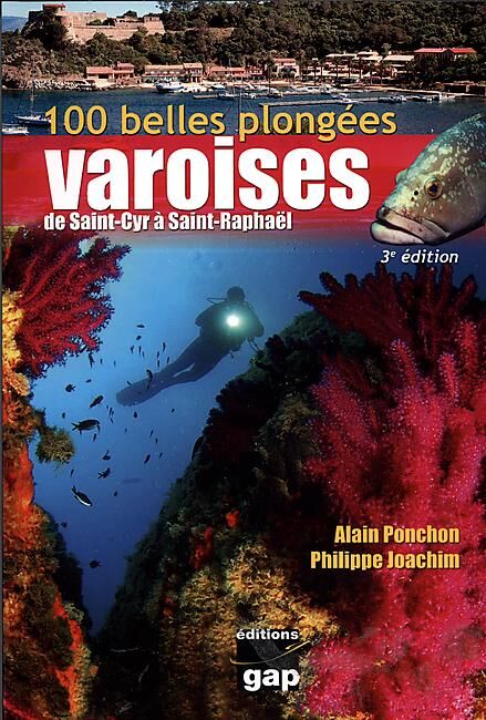 GAP - 100 PLUS BELLES PLONGEES VAROISES