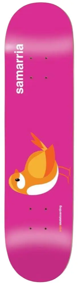 Enjoi Early Bird Skateboard Deck | SkatePro