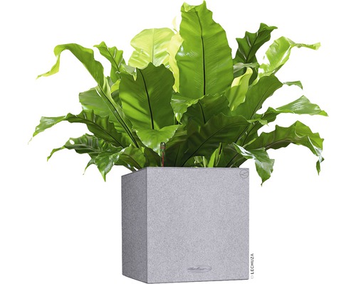 Lechuza Canto Stone kunststof plantenbak, 30x30x30 cm, grijs, inclusief zelfbewateringssysteem