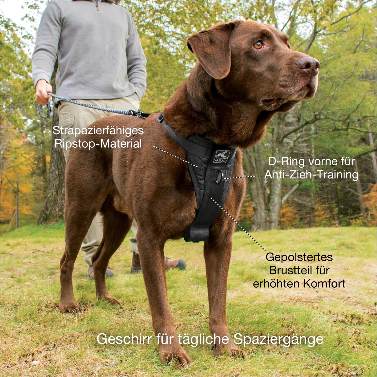 Kurgo Tru-Fit Smart Hundegeschirr XS