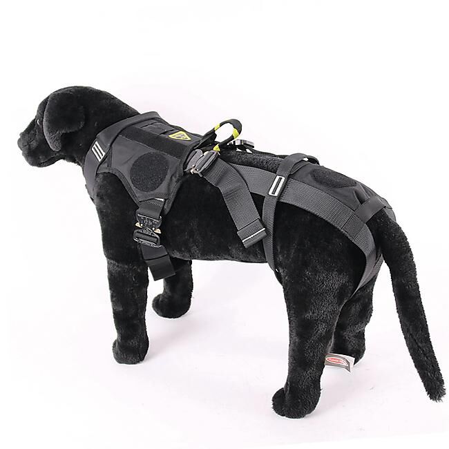DIMATEX - HARNAIS CHIEN SALVATEX NOIR (sur commande)