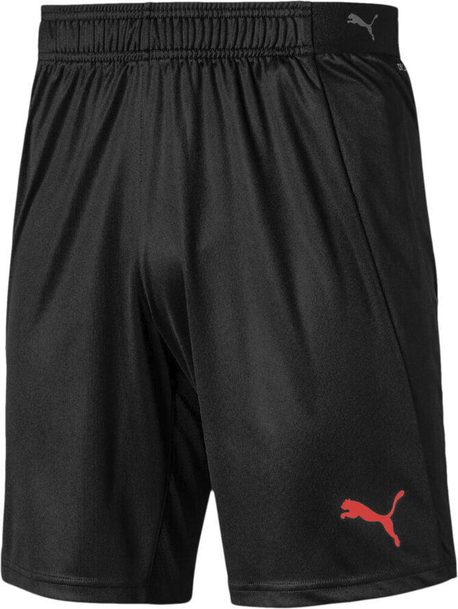 Puma ftblNXT Shorts Sort