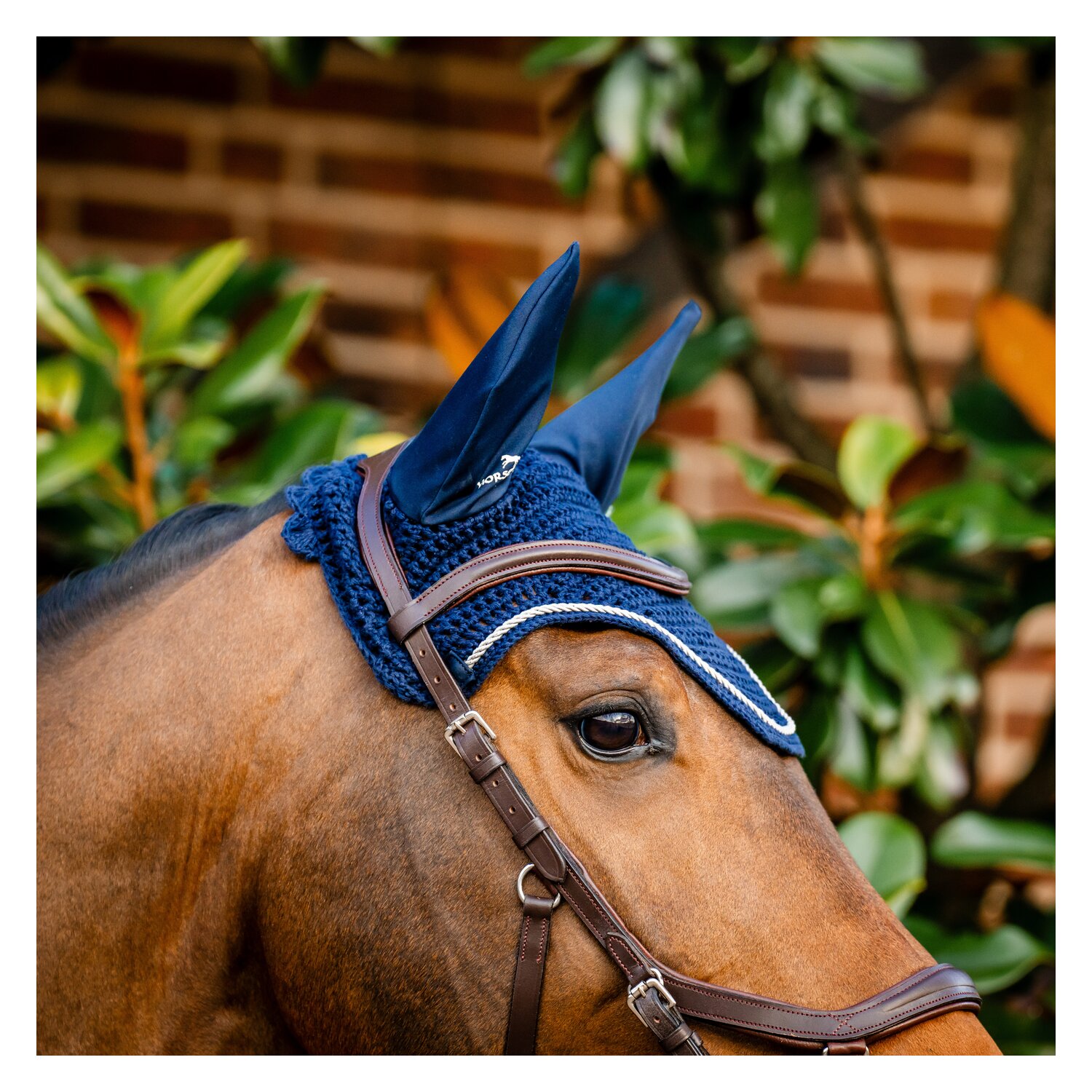HORSEWARE Signature Fliegenohren  - navy - VB/WB