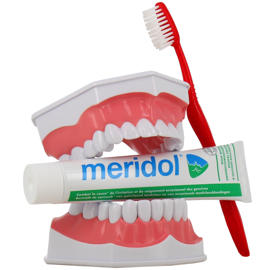 Dentifrice Protection Gencives et Haleine Fraîche - Meridol