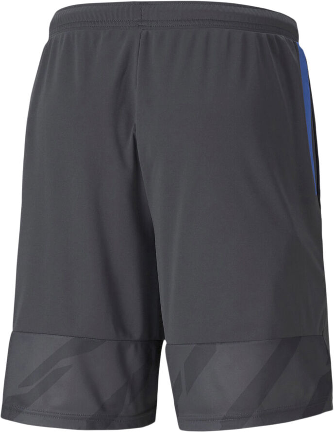 Puma IndividualCUP træningsshorts Grå