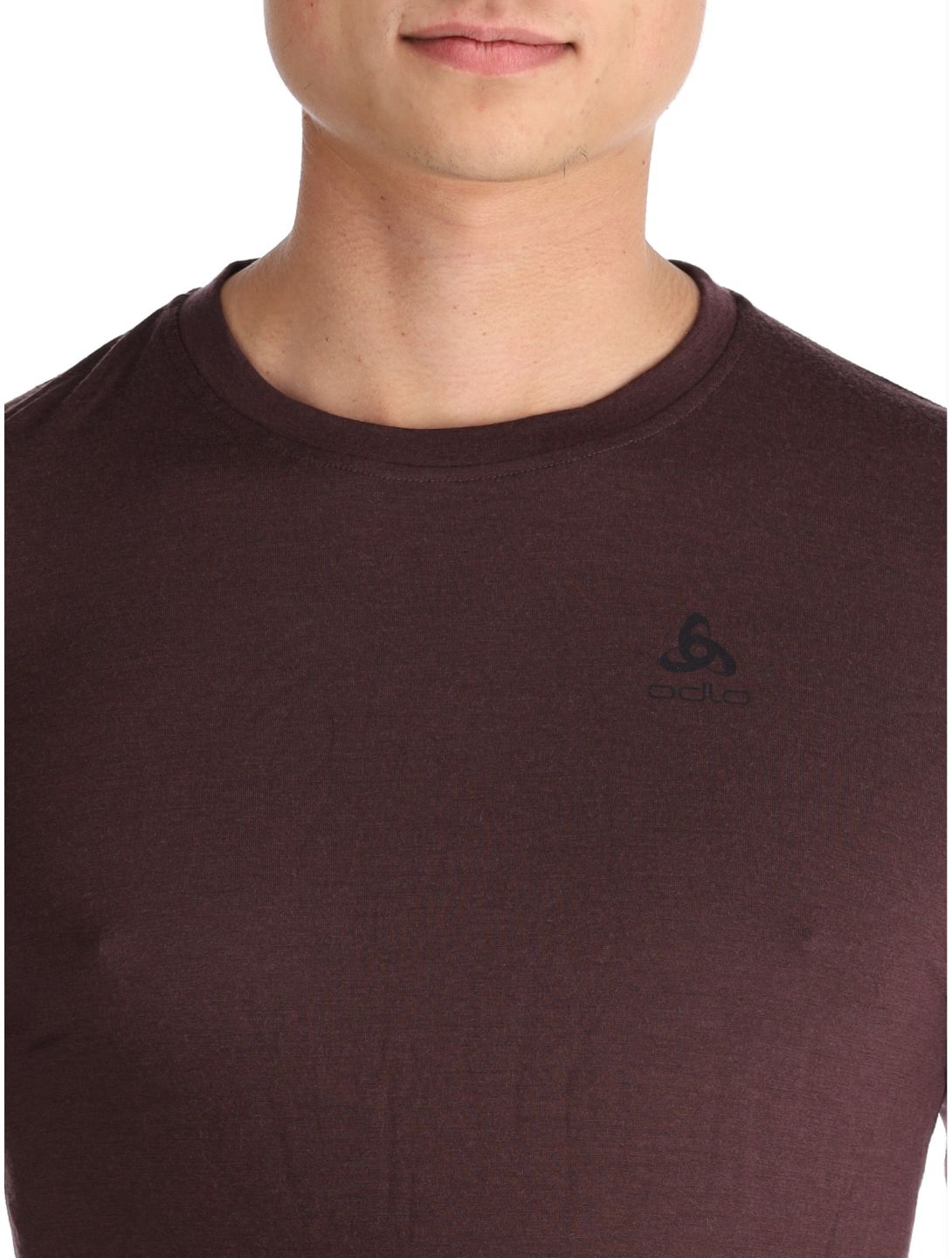 Merino 160 thermoshirt heren