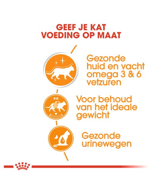 Royal Canin Hair & Skin Care In Jelly - Kattenvoer - 85 g