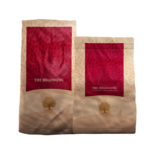 Essential Foods - The Beginning
