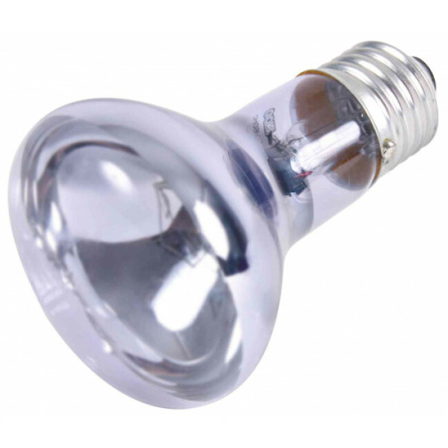 Lampe à chaleur Spot neodymium pour terrarium