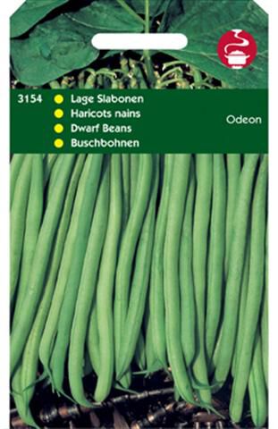 Hortitops Stamslabonen Phaseolus Vulgaris L. Odeon - Groentezaden - 50 Gram